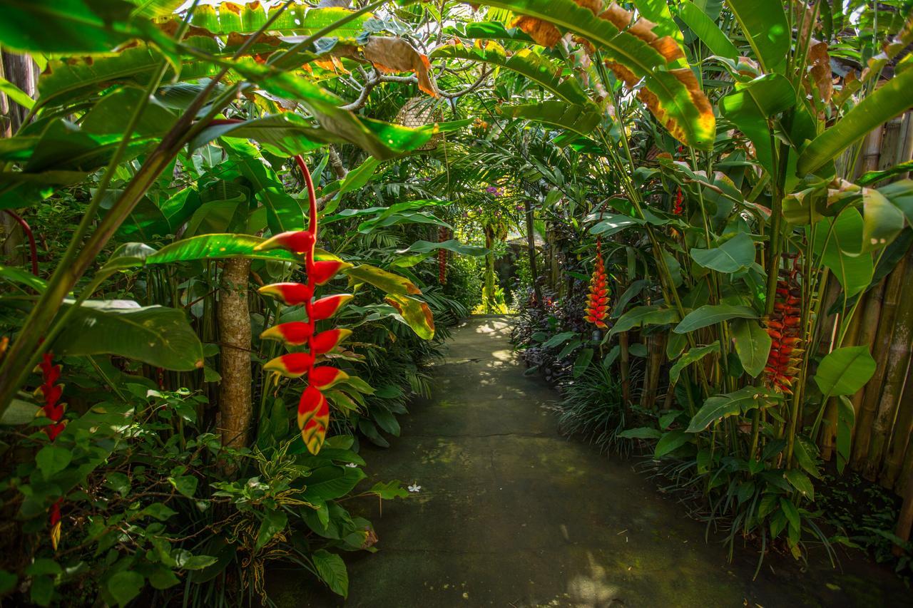 D'Bale Ananda Ubud Villa מראה חיצוני תמונה
